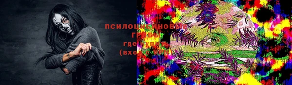 трава Елизово