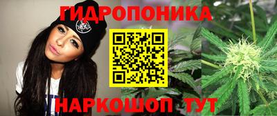 дмт Нальчик