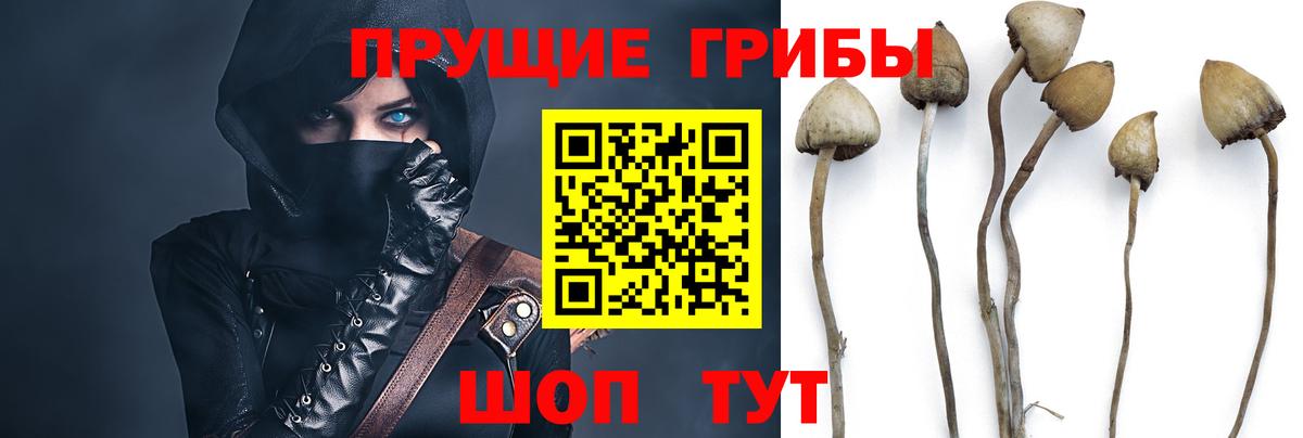 Псилоцибиновые грибы Magic Shrooms  Галлюциногенные грибы Cubensis  Вход с VPN  Черкесск 