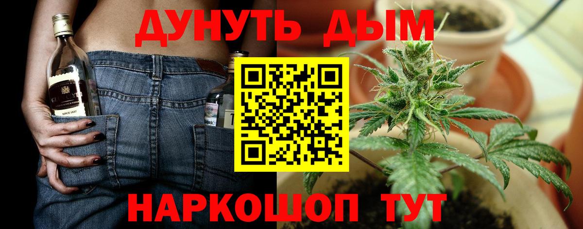 МАРИХУАНА сатива Черкесск